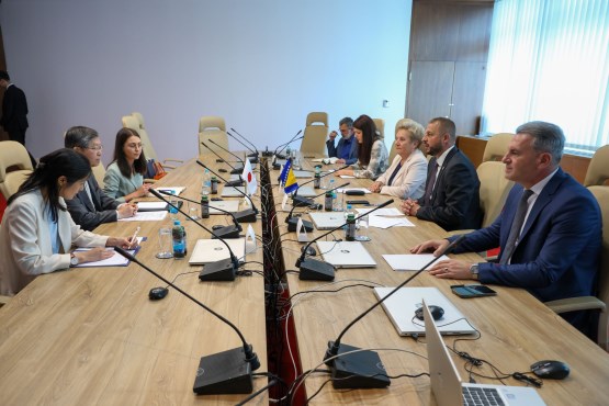 Members of the PABiH Friendship Group for North and South America, Australia, Oceania, and Japan Meet with the Ambassador of Japan to BiH
